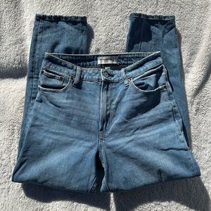 Abercrombie & Fitch Curve Love High Rise Mom Jean